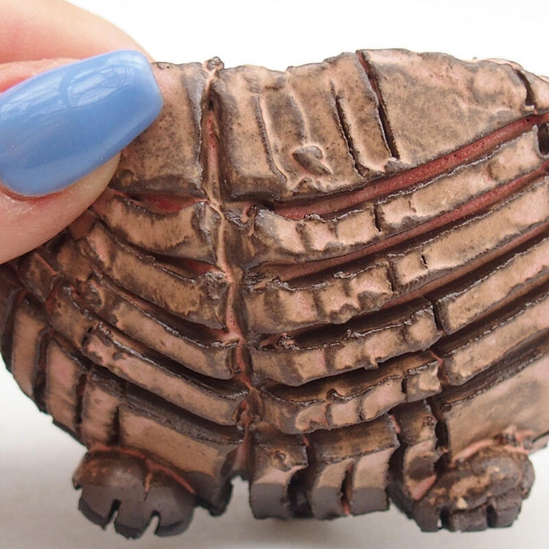 Conchiglia in ceramica 9 x 9 x 6 cm , colore rosa