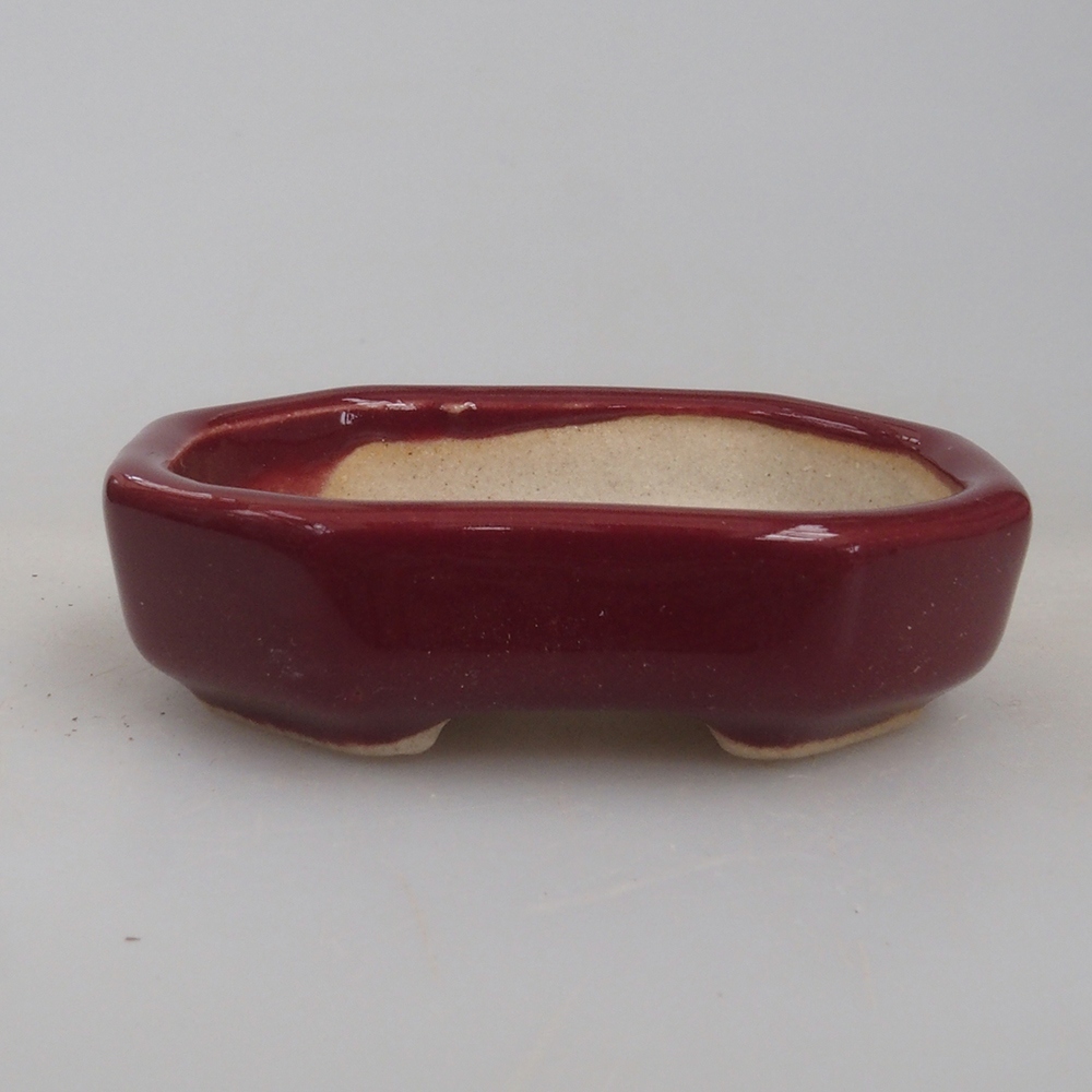 Mini bonsai 5,5 x 4 x 1,5 cm, colore bordeaux