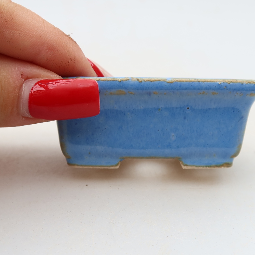 Ciotola per bonsai in ceramica 6,5 x 4 x 2,5 cm, colore blu