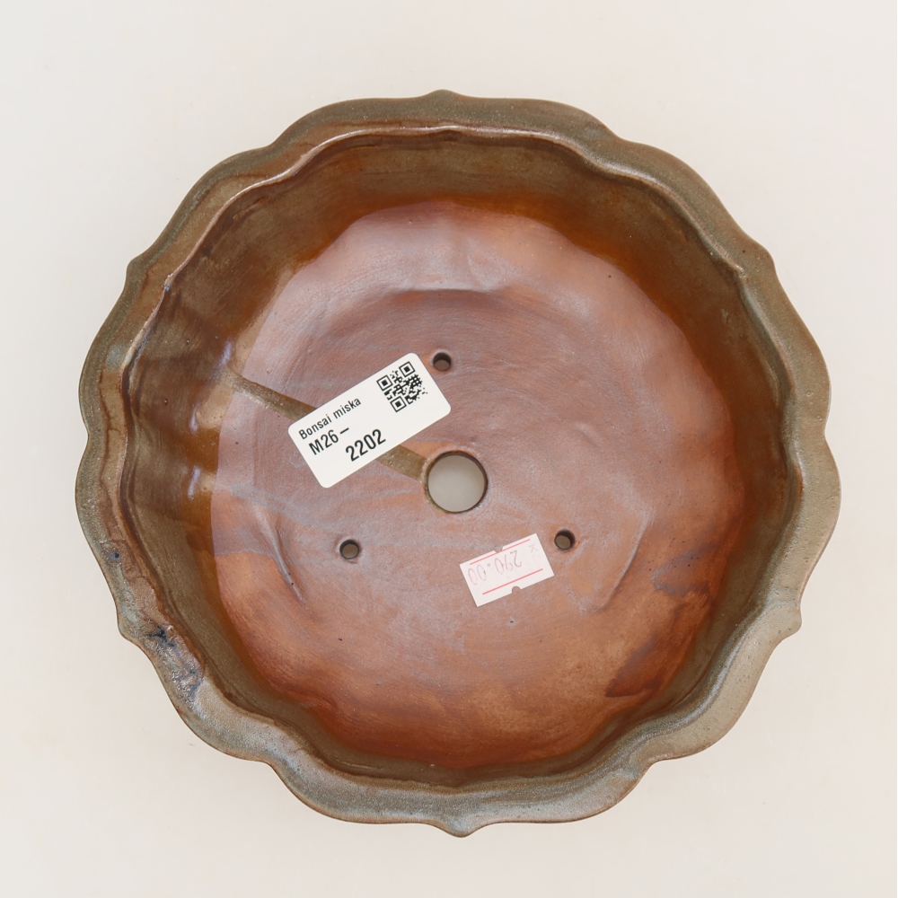 Ciotola per bonsai in ceramica 18,5 x 18,5 x 5 cm, marrone