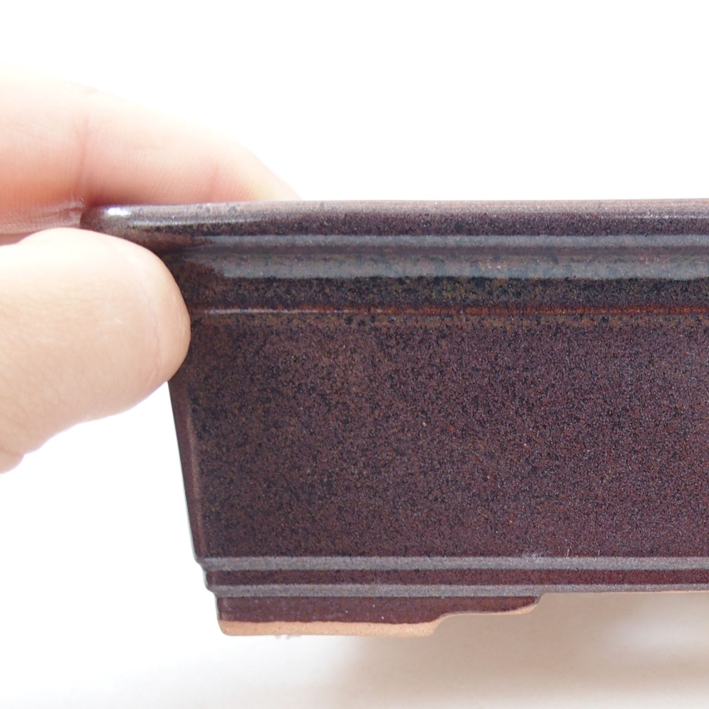 Ciotola bonsai in ceramica 22 x 17 x 5 cm, verde