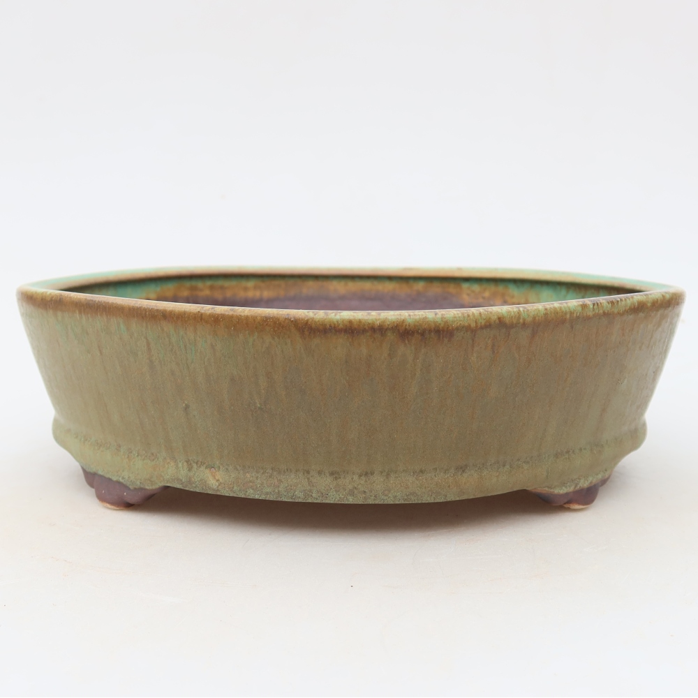 Ciotola per bonsai in ceramica 21,5 x 21,5 x 6 cm, verde