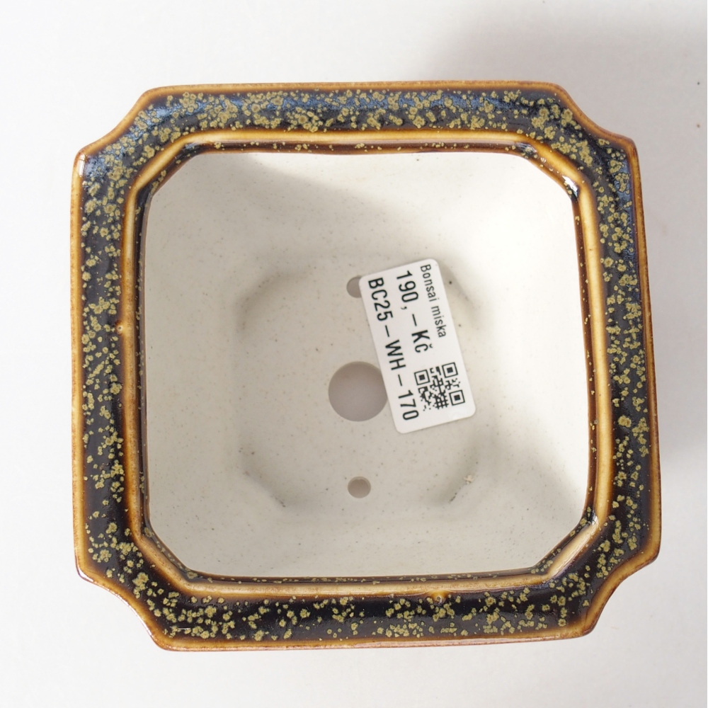 Ciotola bonsai in ceramica 11 x 11 x 7 cm, giallo