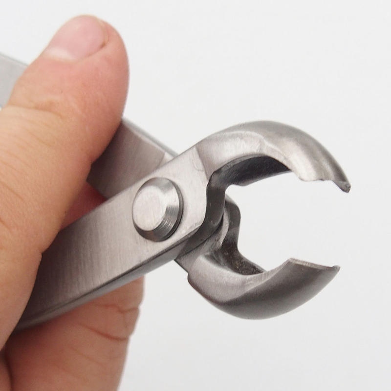 Pinze a becchi concavi 180 mm - Acciaio inossidabile