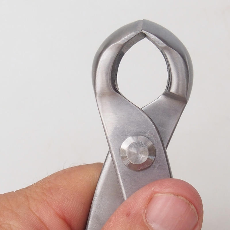 Pinze a becchi concavi 210 mm - Acciaio inossidabile