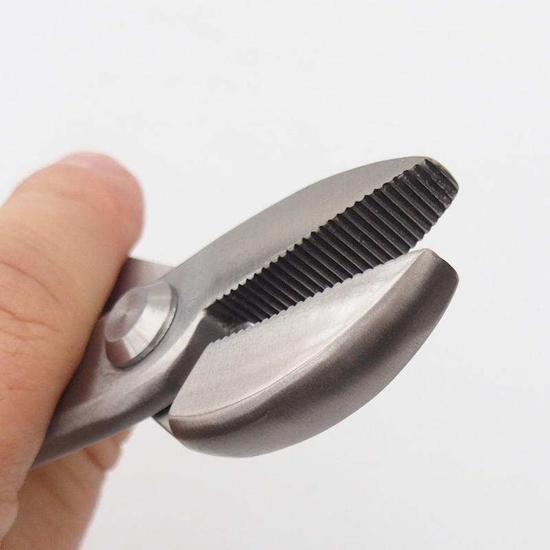 Pinze per JIN oblique 23 cm - acciaio inox