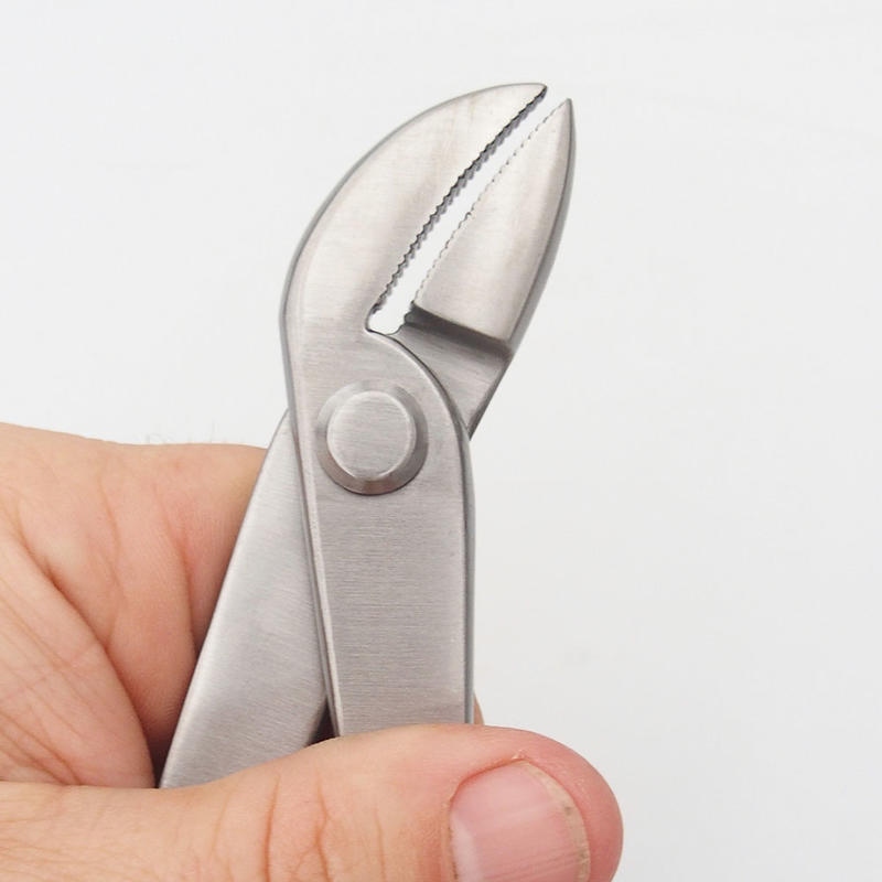 Pinze per JIN oblique 23 cm - acciaio inox