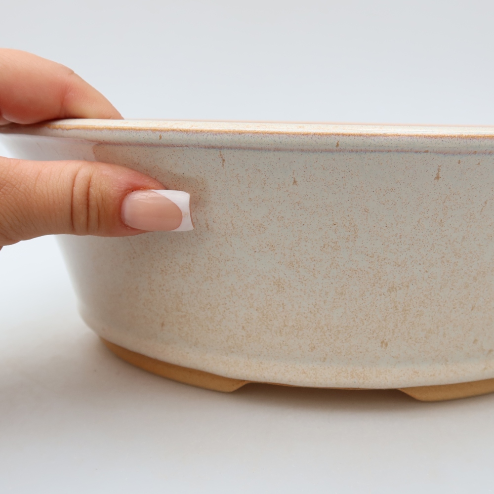 Vaso per bonsai in ceramica 27 x 27 x 8 cm, colore beige