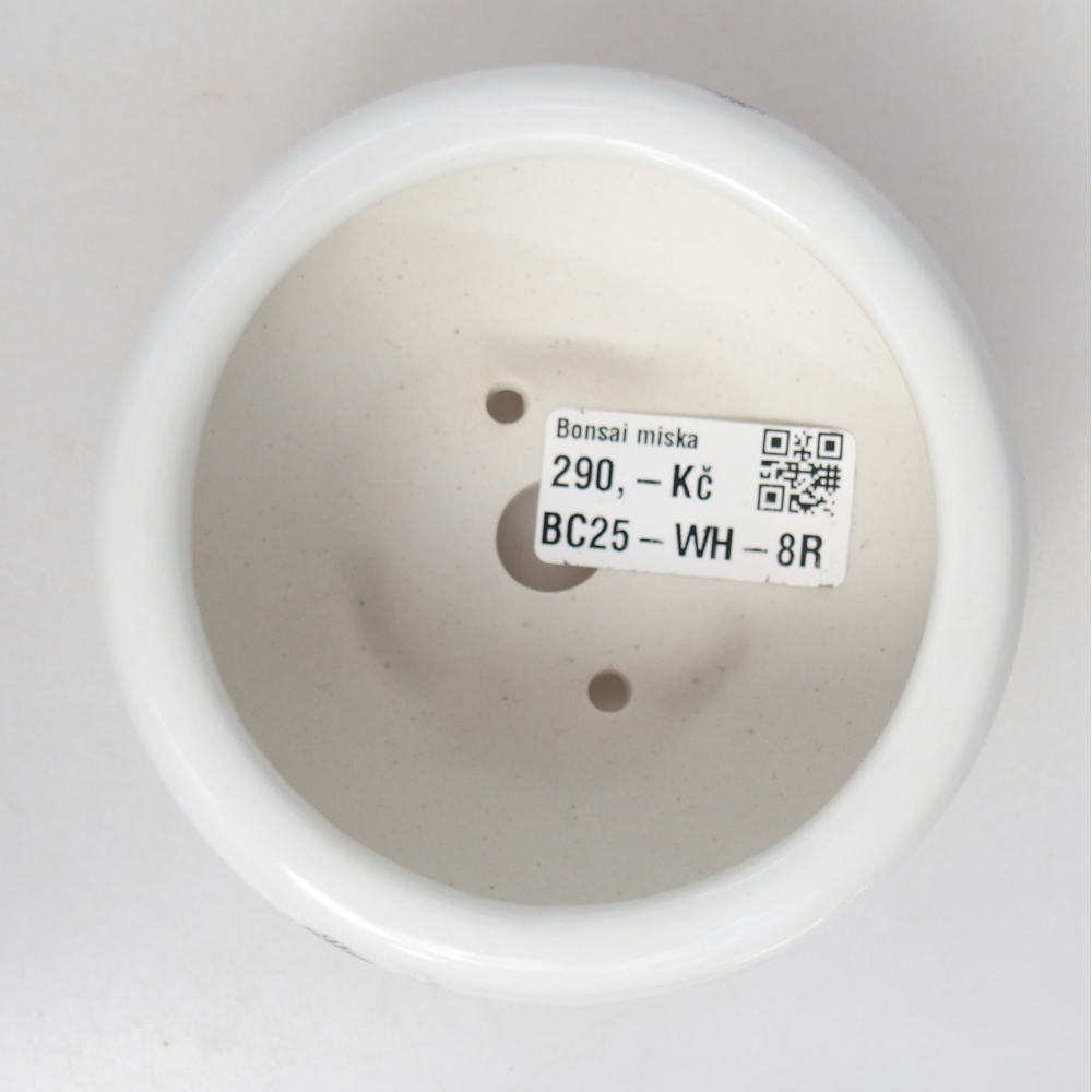 Ciotola per bonsai in ceramica 10 x 10 x 5 cm, colore bianco