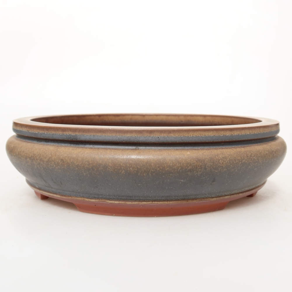 Conchiglia in ceramica  27 x 27 x 7,5 cm, colore marrone