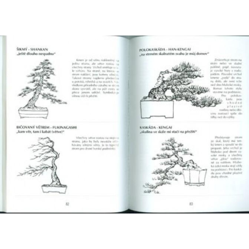 Libro dei bonsai non solo nella casa del pannello