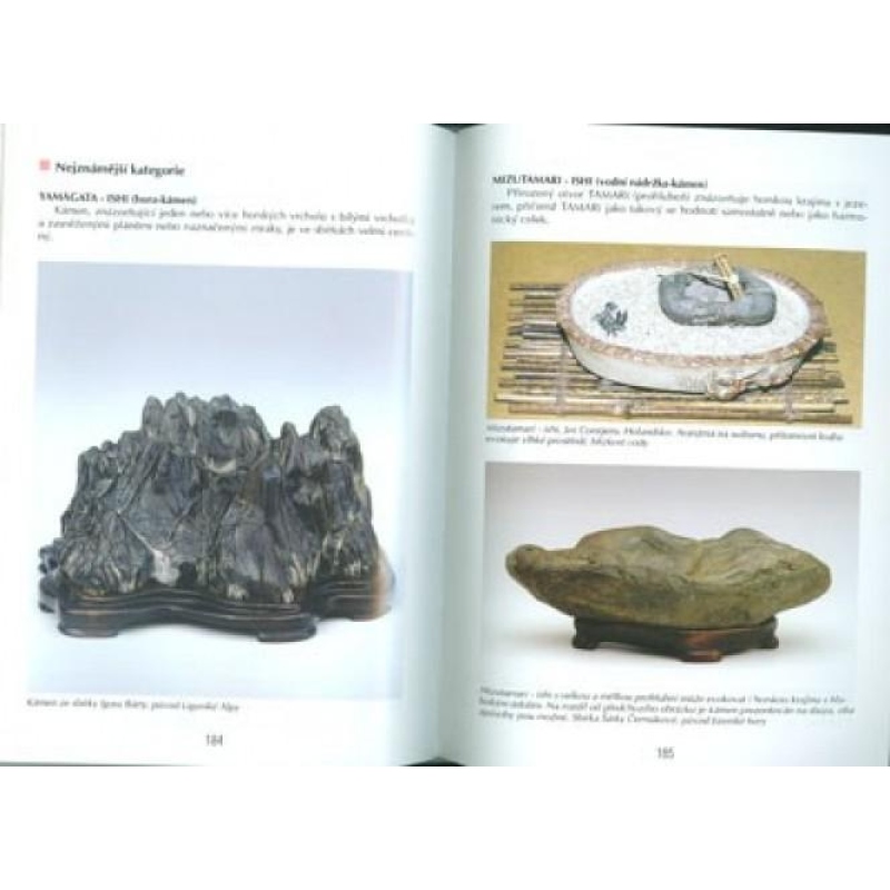 Libro dei bonsai non solo nella casa del pannello