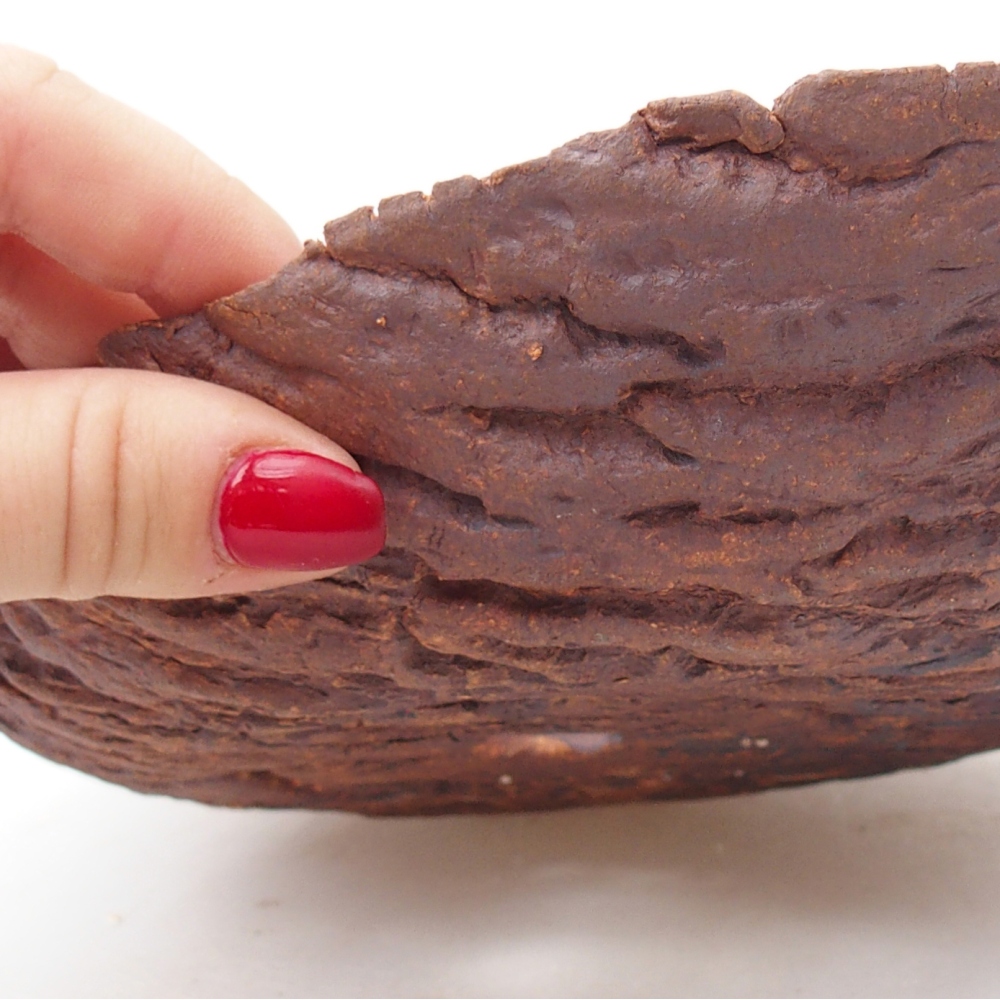 Conchiglia in ceramica 22 x 18,5 x 6,5 cm , colore marrone