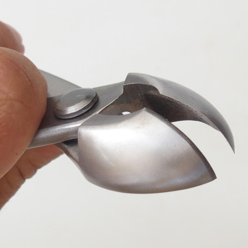 Pinze coniche semitonde 205 mm - Acciaio inossidabile