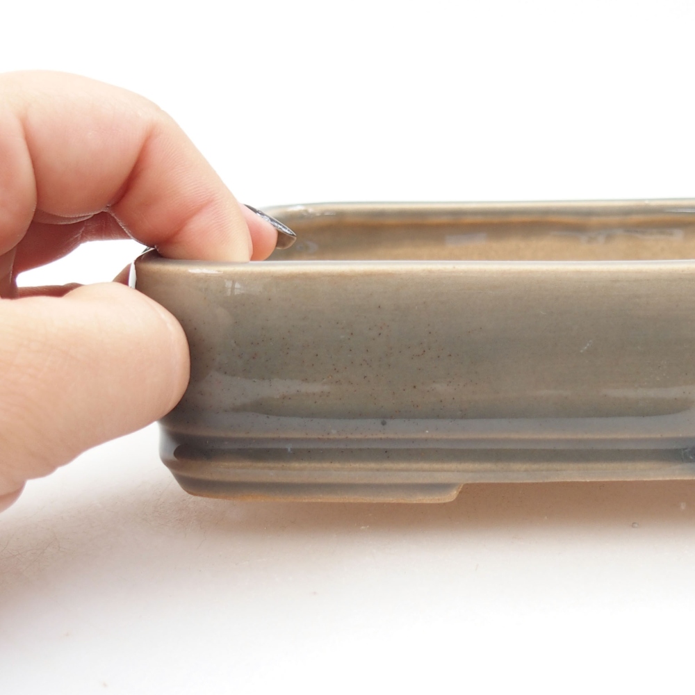 Ciotola bonsai in ceramica 22 x 17 x 5 cm, verde