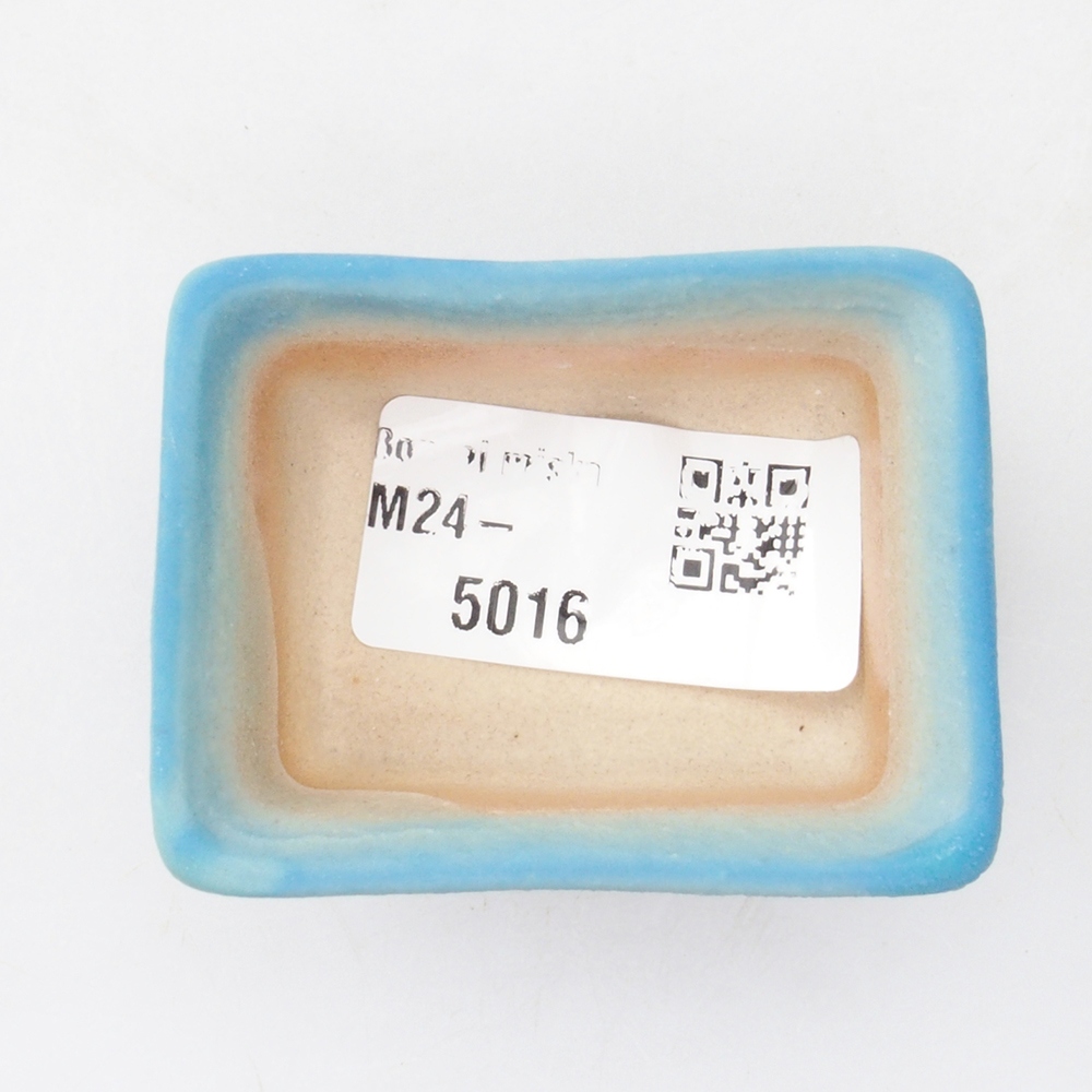 Mini bonsai 5,5 x 4 x 2,5 cm, colore blu