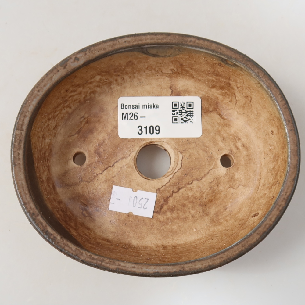 Ciotola per bonsai in ceramica 12 x 10,5 x 4 cm, marrone