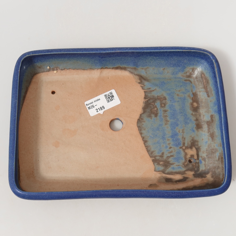 Vaso da bonsai in ceramica 24 x 17,5 x 4 cm, colore blu