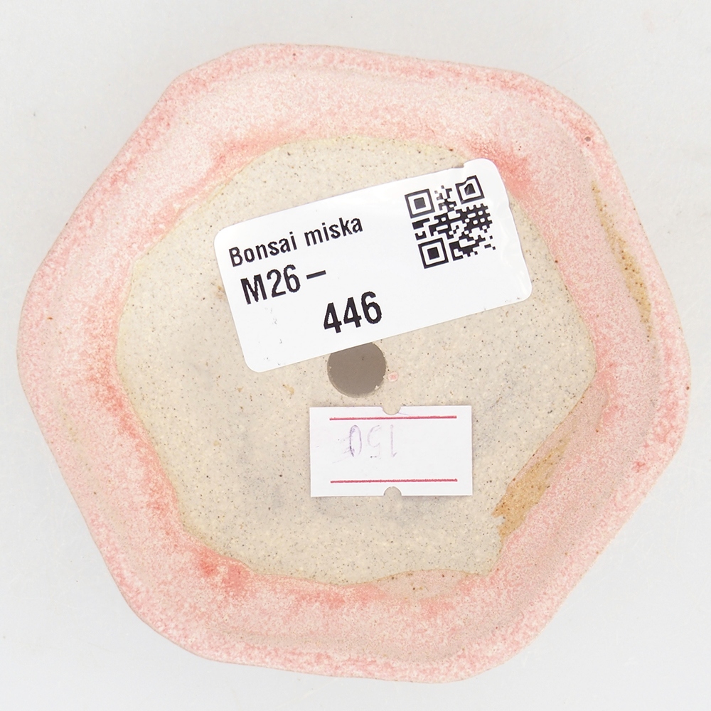 Ciotola per bonsai in ceramica 8,5 x 8 x 2,5 cm, rosa