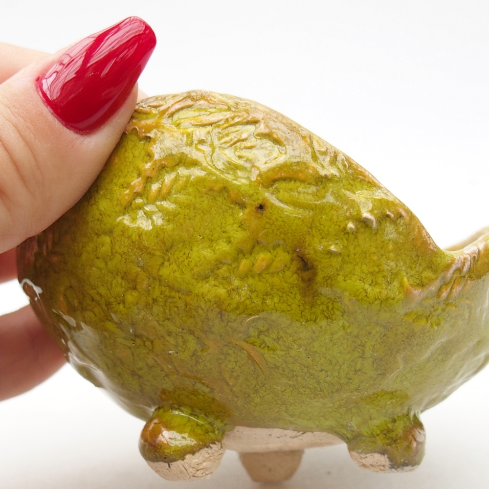 Conchiglia in ceramica 9 x 8,5 x 5,5 cm , colore verde