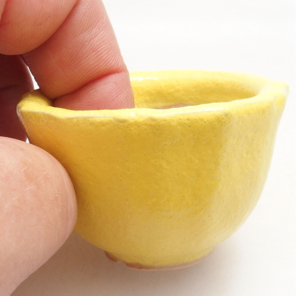 Ciotola bonsai in ceramica 5 x 5 x 3 cm, giallo