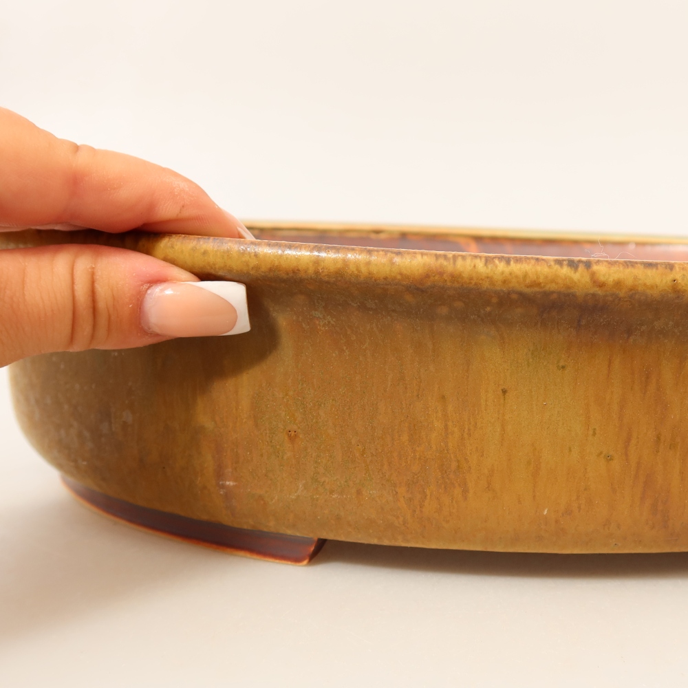 Vaso da bonsai in ceramica 31,5 x 27,5 x 7 cm, colore verde