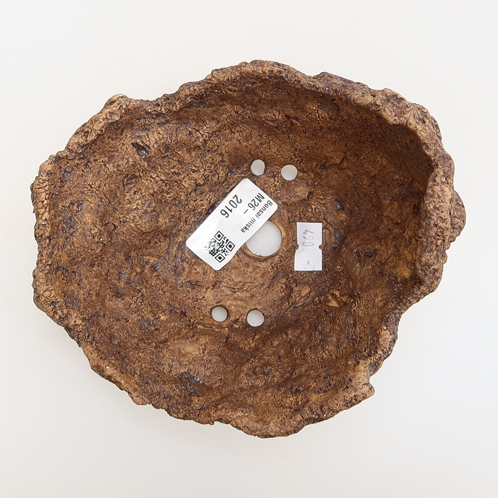 Guscio in ceramica 14,5 x 13 x 11,5 cm, colore marrone