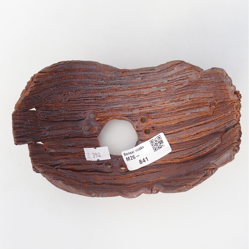 Conchiglia in ceramica 16 x 10,5 x 8,5 cm , colore marrone