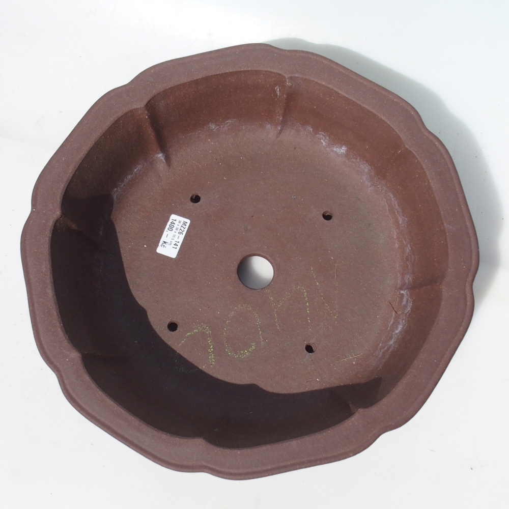 Ciotola bonsai 38 x 38 x 10,5 cm betulla marrone