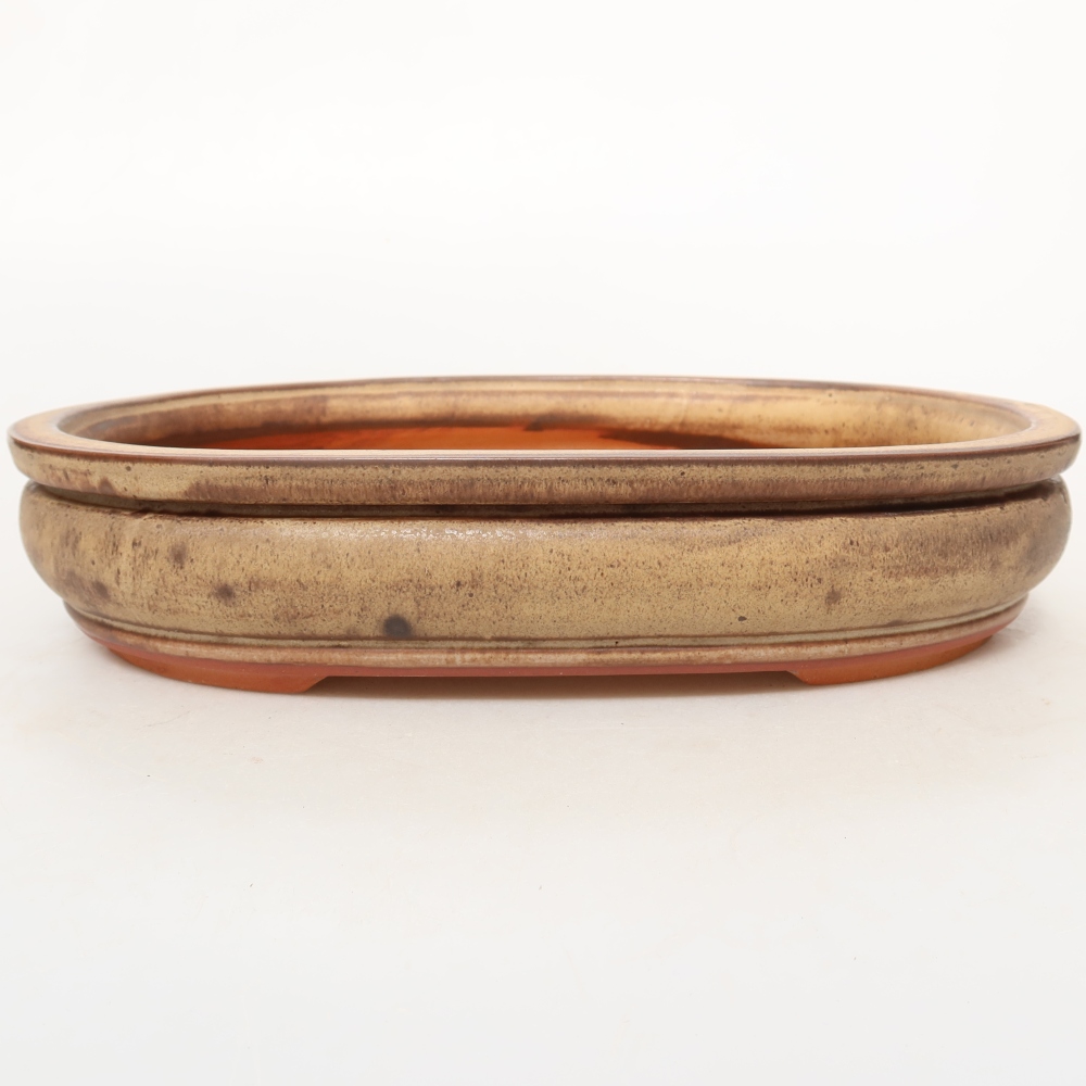Conchiglia in ceramica  26 x 18,5 x 5 cm, colore marrone