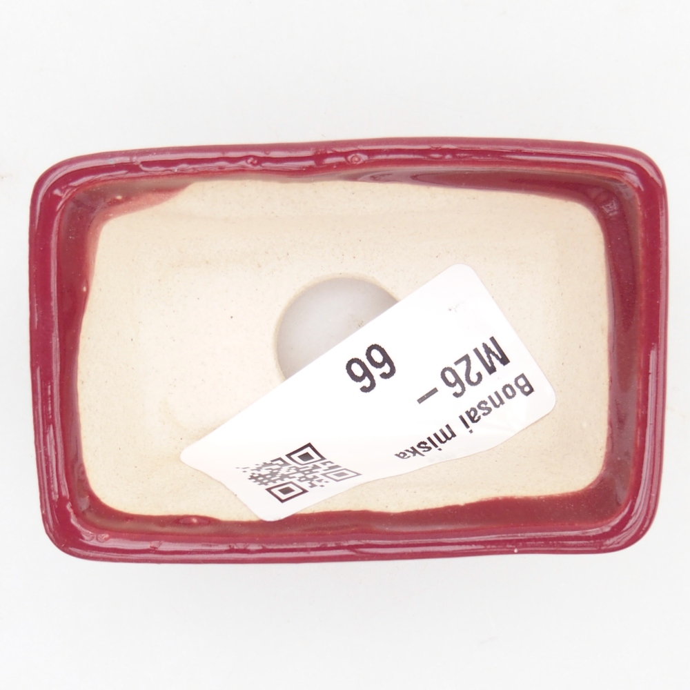 Ciotola per bonsai mini 6,5 x 4 x 2,5 cm, bordeaux