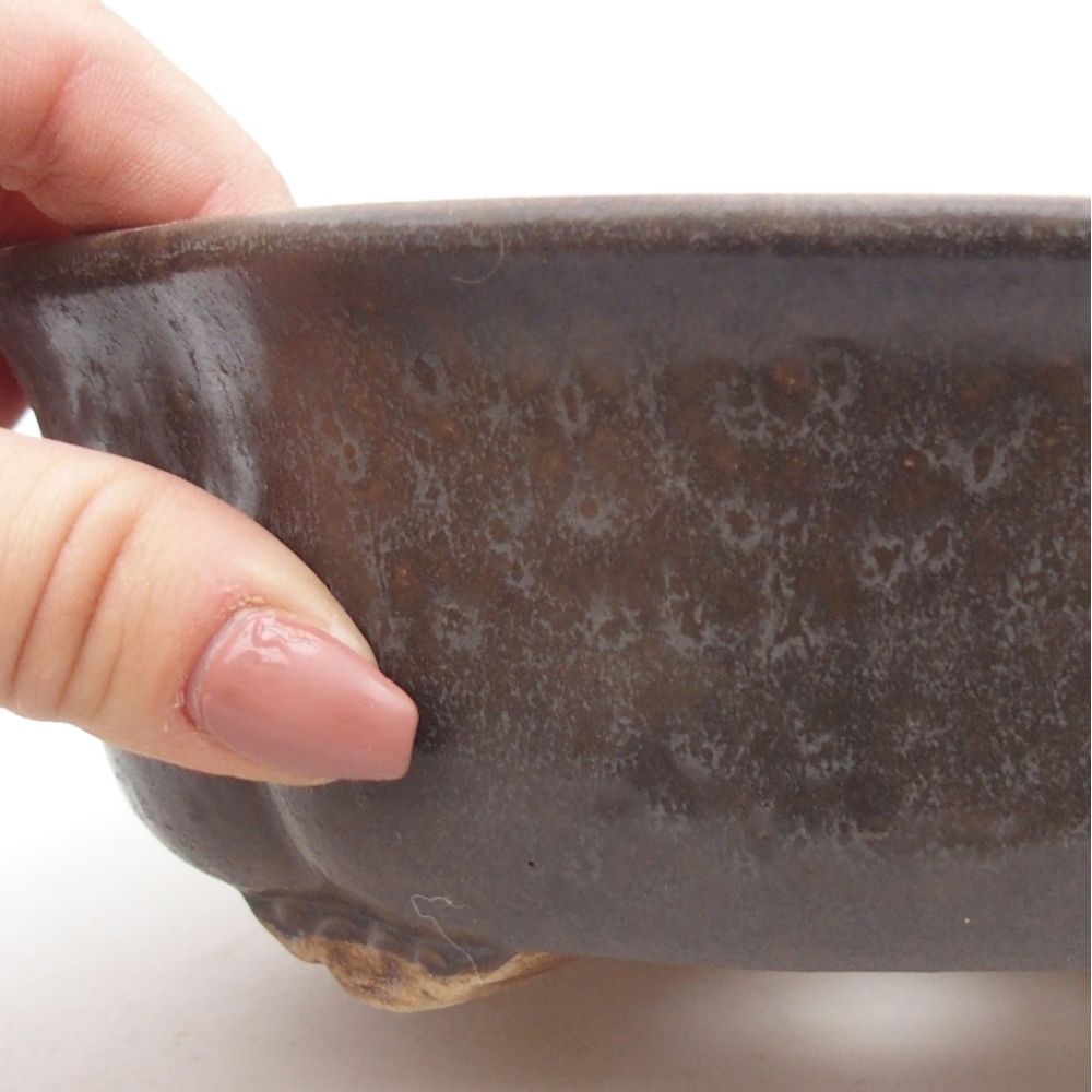 Ciotola per bonsai in ceramica 18,5 x 17 x 6 cm, marrone