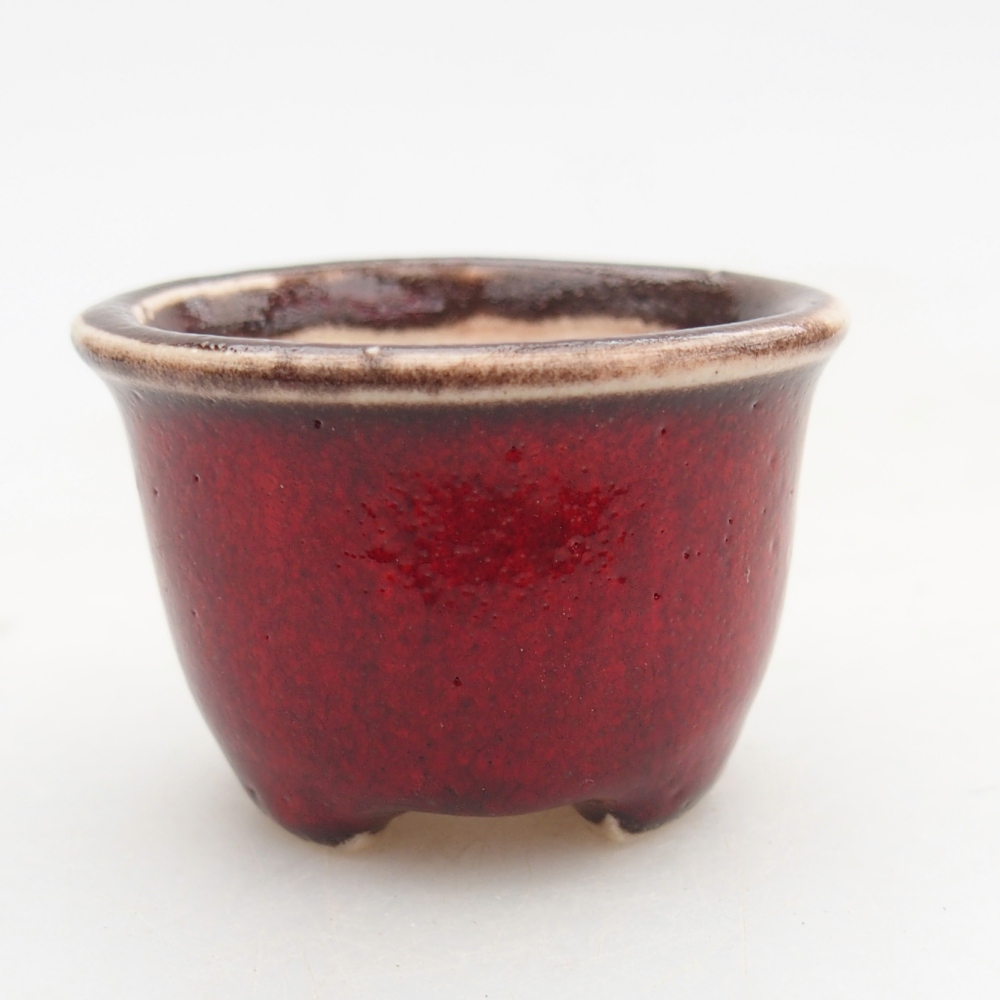 Mini bonsai 4 x 4 x 2,5 cm, colore rosso