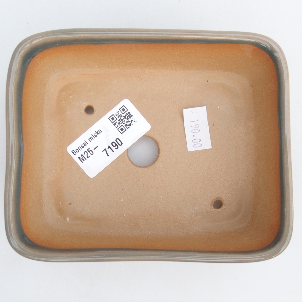 Ciotola bonsai in ceramica 26 x 26 x 8 cm, colore rosso