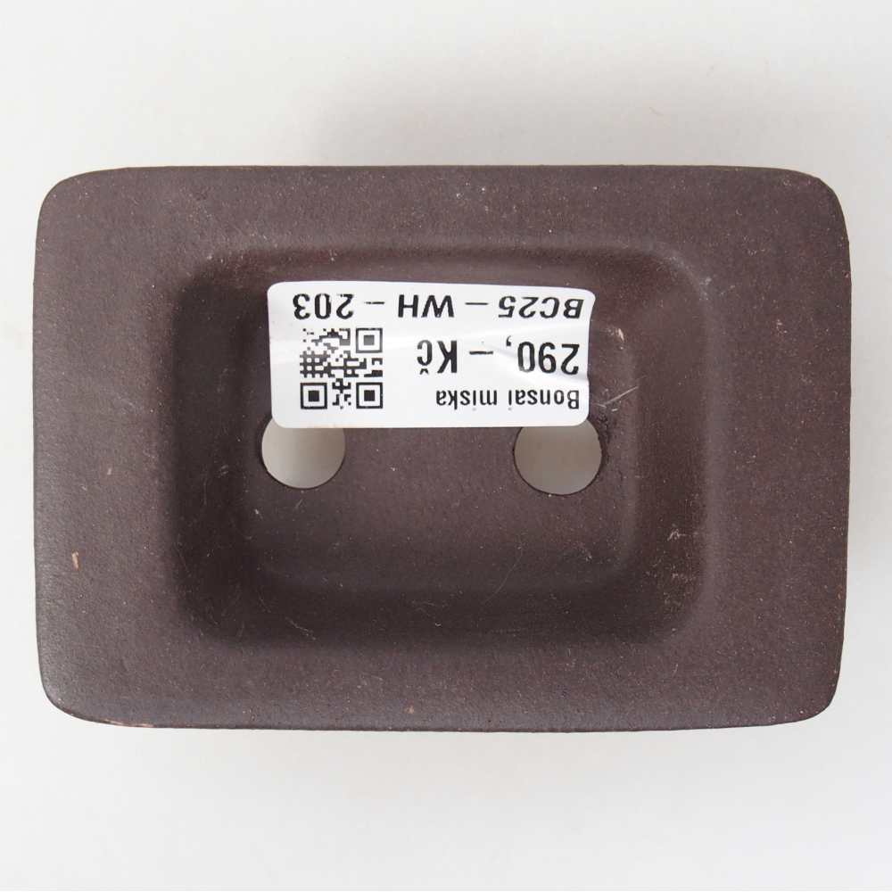 Mini bonsai 9,5 x 6,5 x 3 cm, marrone