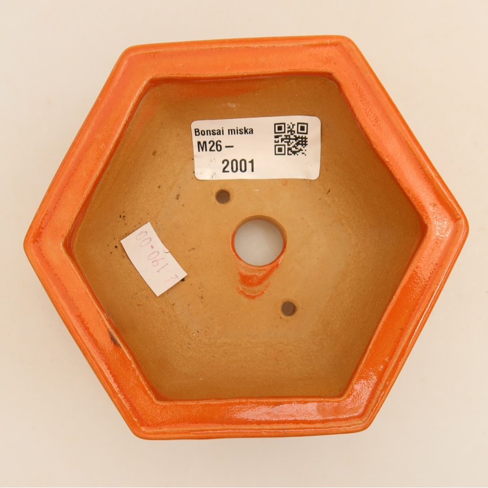 Vaso da bonsai in ceramica 12 x 10,5 x 4 cm, colore arancione