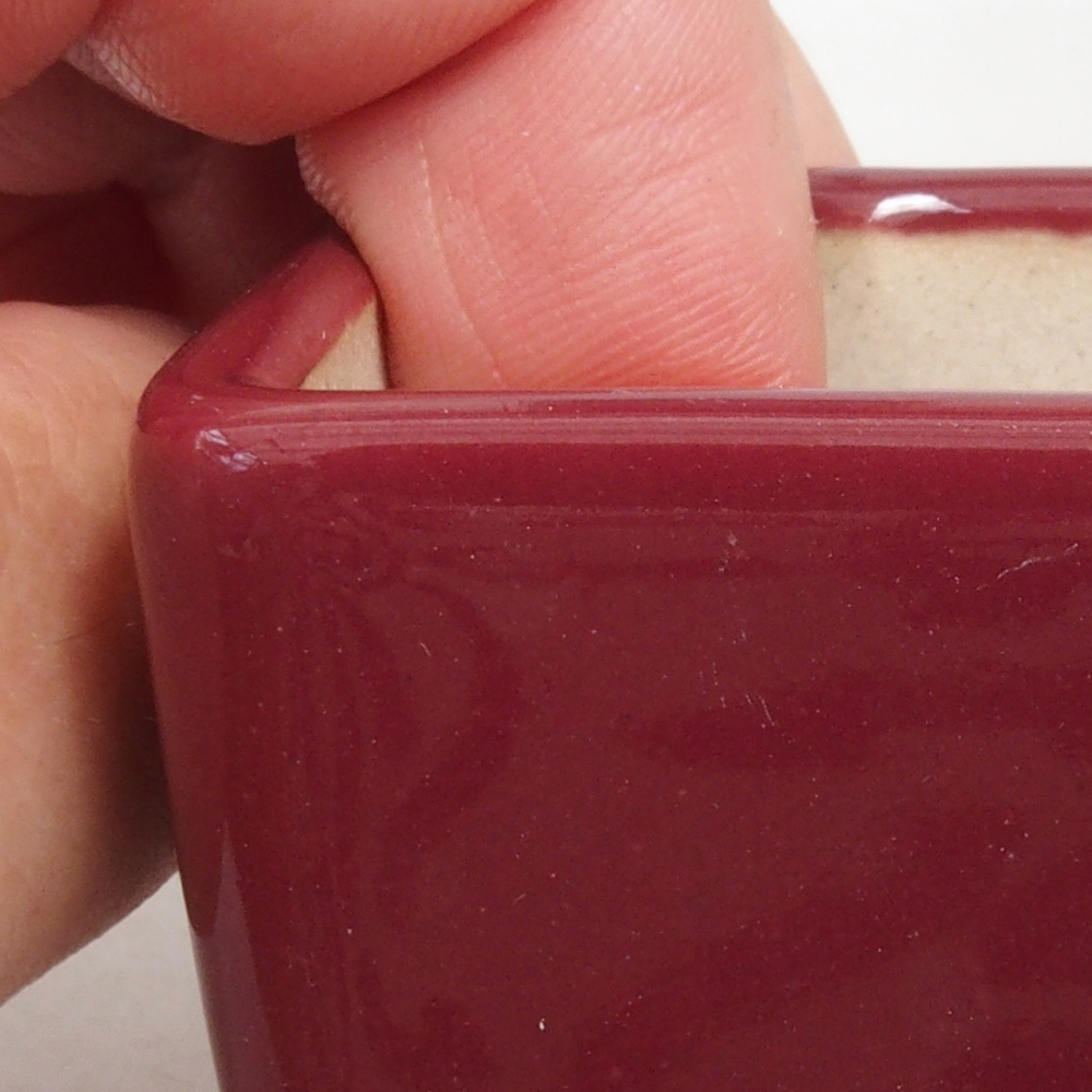 Mini bonsai 4,5 x 4,5 x 4,5 cm, bordeaux