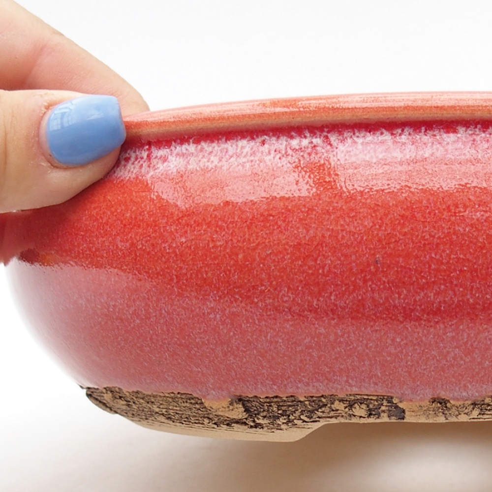 Ciotola bonsai in ceramica 19 x 19 x 6 cm, colore rosso