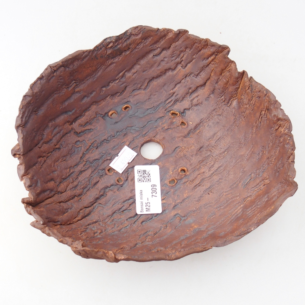 Conchiglia in ceramica 19 x 17 x 7 cm , colore marrone