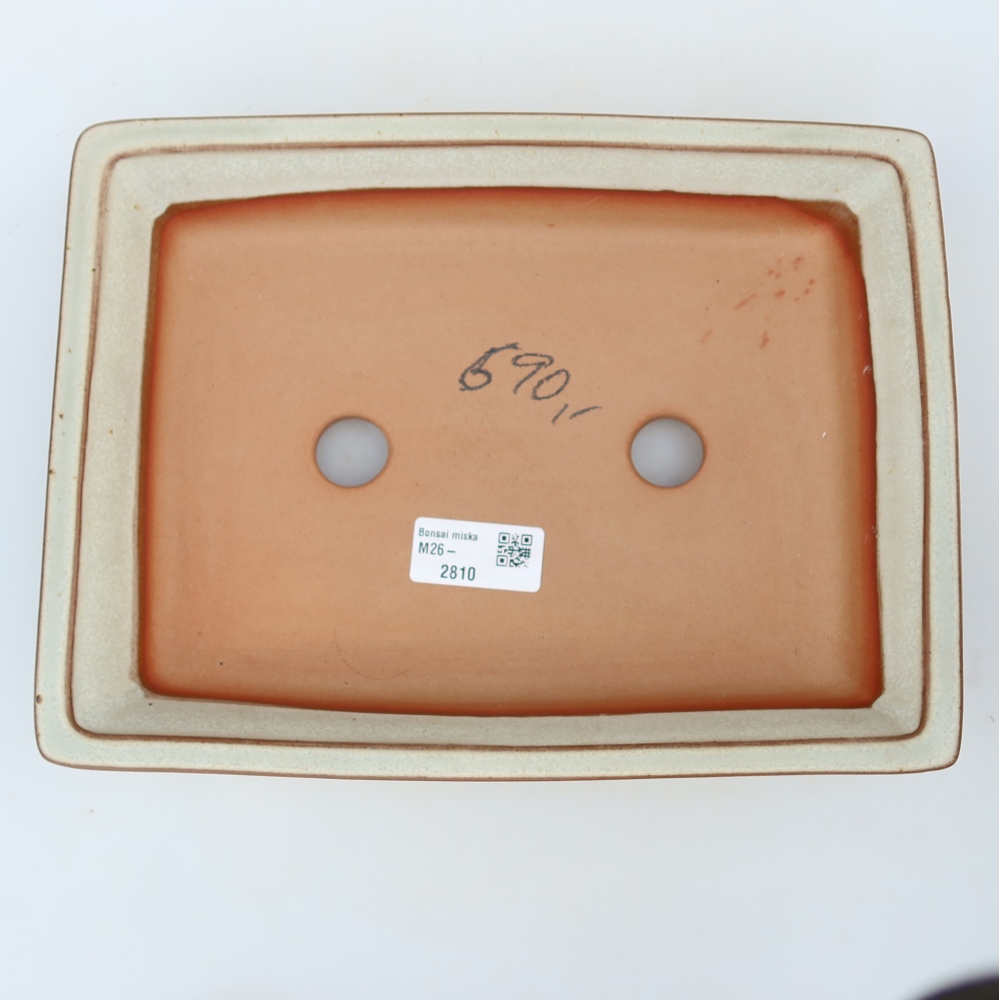 Ciotola in ceramica  26 x 19,5 x 5,5 cm, colore beige
