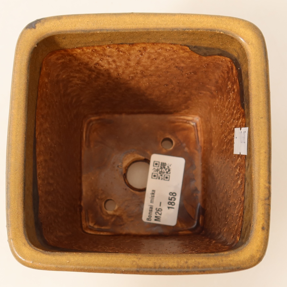 Vaso da bonsai in ceramica 10,5 x 10,5 x 12 cm, colore marrone