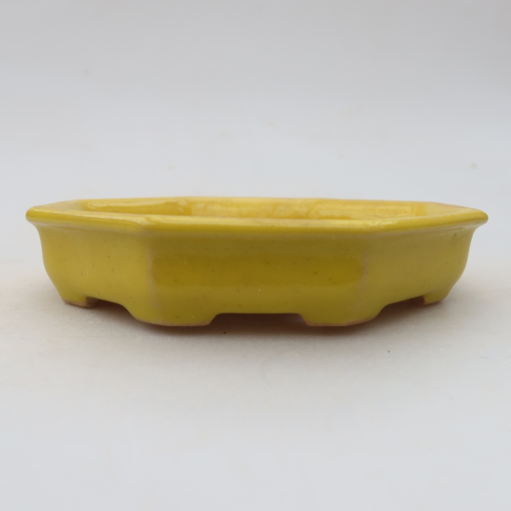 Vaso da bonsai in ceramica 11,5 x 11,5 x 2,5 cm, colore giallo