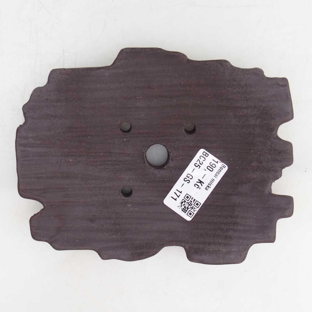 Conchiglia in ceramica 16 x 12 x 3 cm , colore marrone