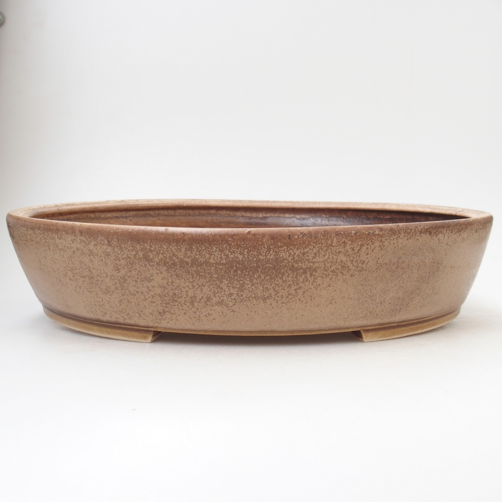 Ciotola per bonsai in ceramica 31,5 x 27,5 x 6 cm, colore beige