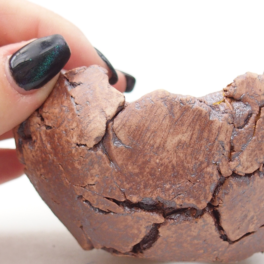 Conchiglia in ceramica 9 x 9 x 5,5 cm , colore marrone