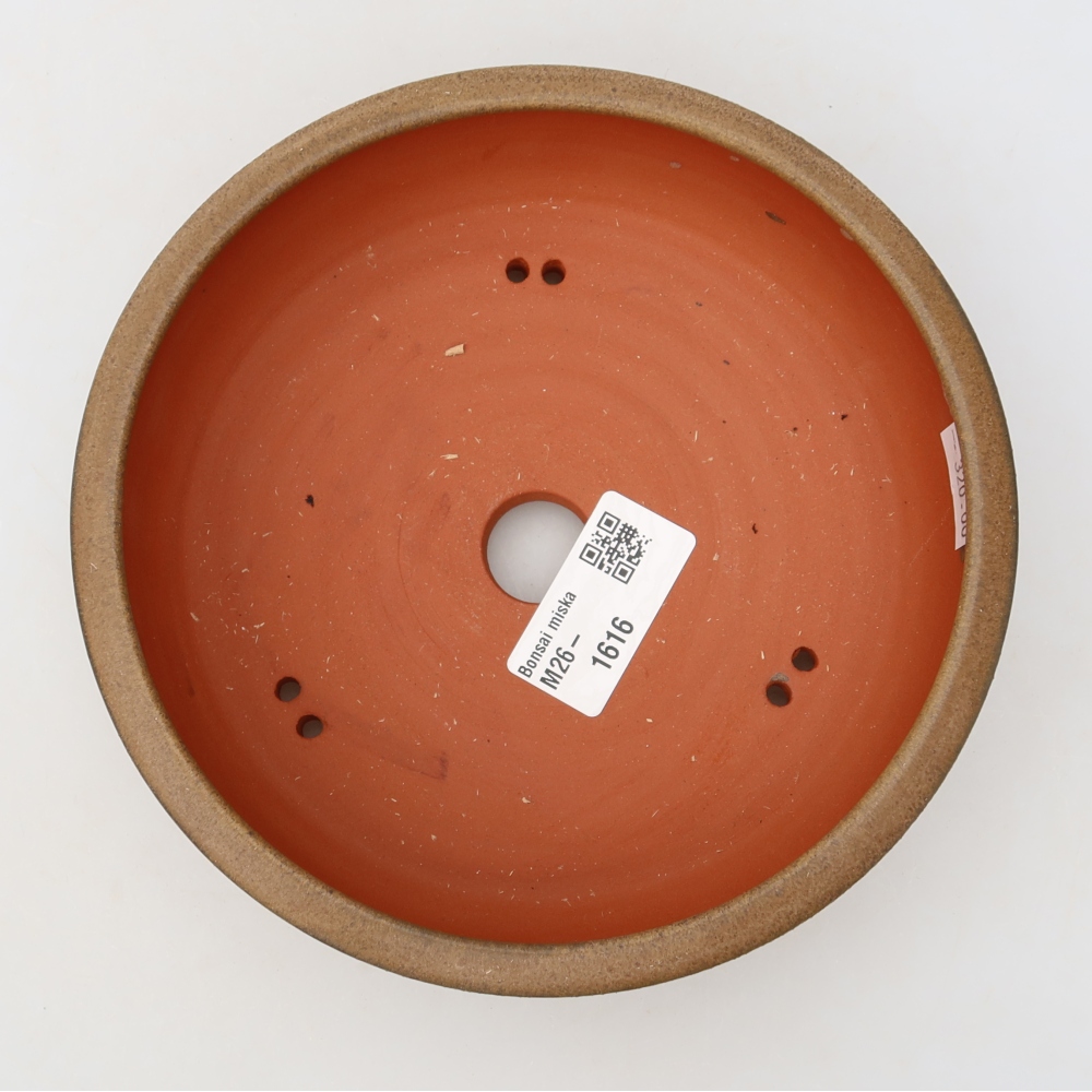 Ciotola per bonsai in ceramica 16 x 16 x 5 cm, marrone