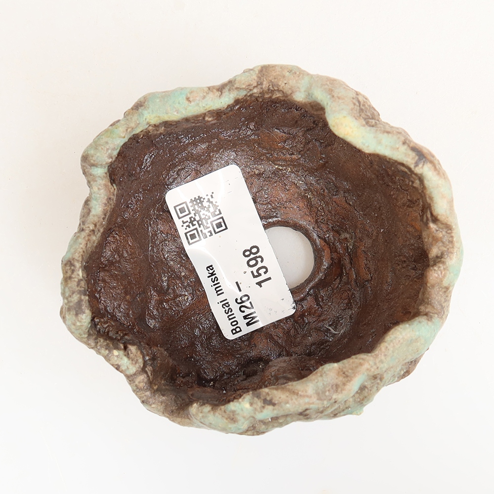 Conchiglia in ceramica 7 x 6 x 6 cm , colore verde