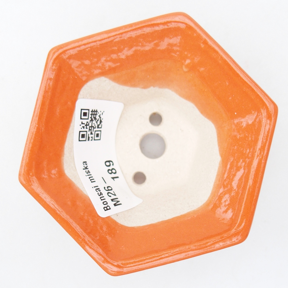 Ciotola per mini bonsai 8 x 7 x 3,5 cm, arancione