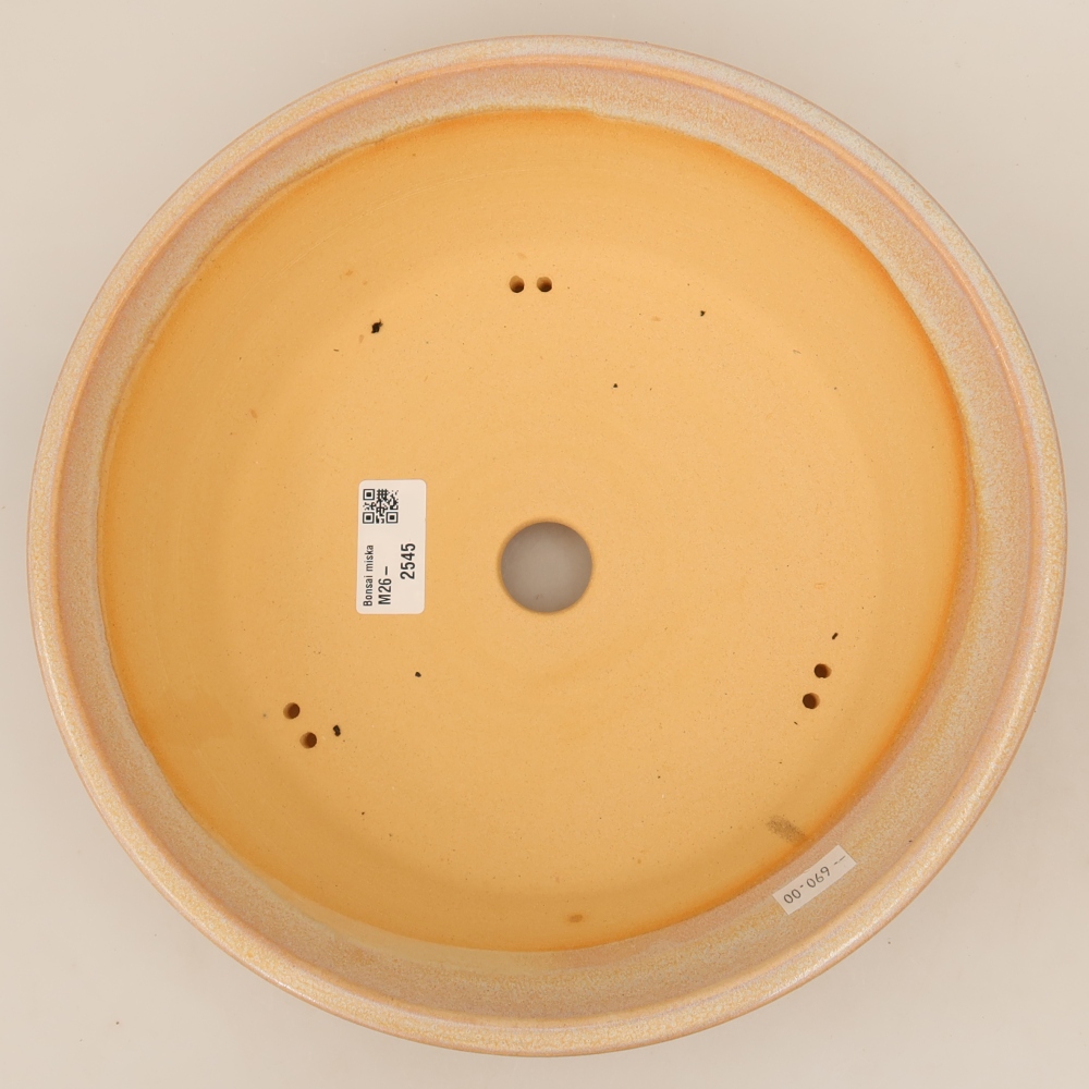 Vaso da bonsai in ceramica 27 x 27 x 7 cm, colore beige