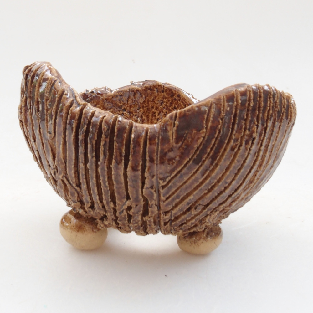 Conchiglia in ceramica 8 x 7,5 x 6 cm , colore marrone